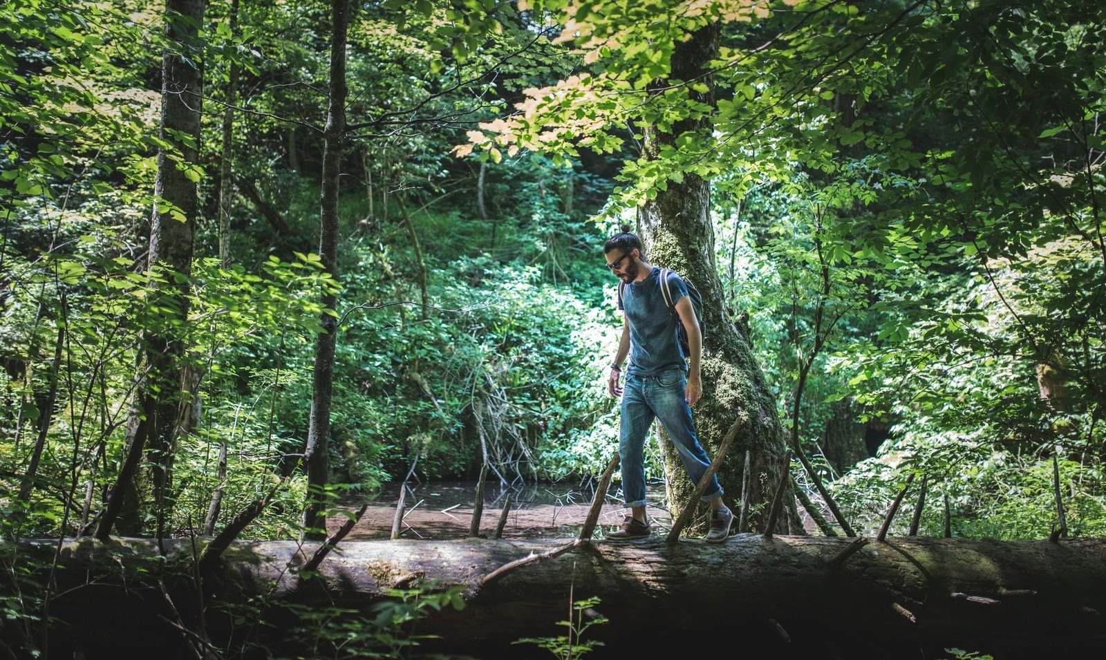 S'amuser dans la foret S'amuser dans la foret