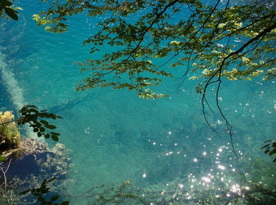 La couleur bleue des lacs de Plitvice