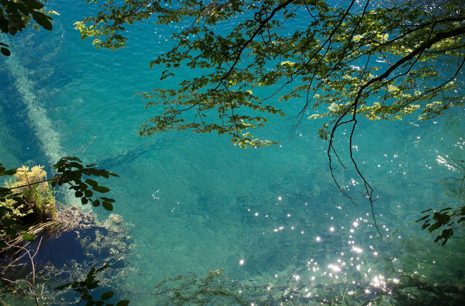 La couleur bleue des lacs de Plitvice La couleur bleue des lacs de Plitvice