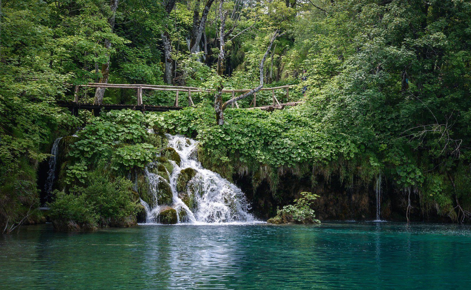 Petit pont Petit pont