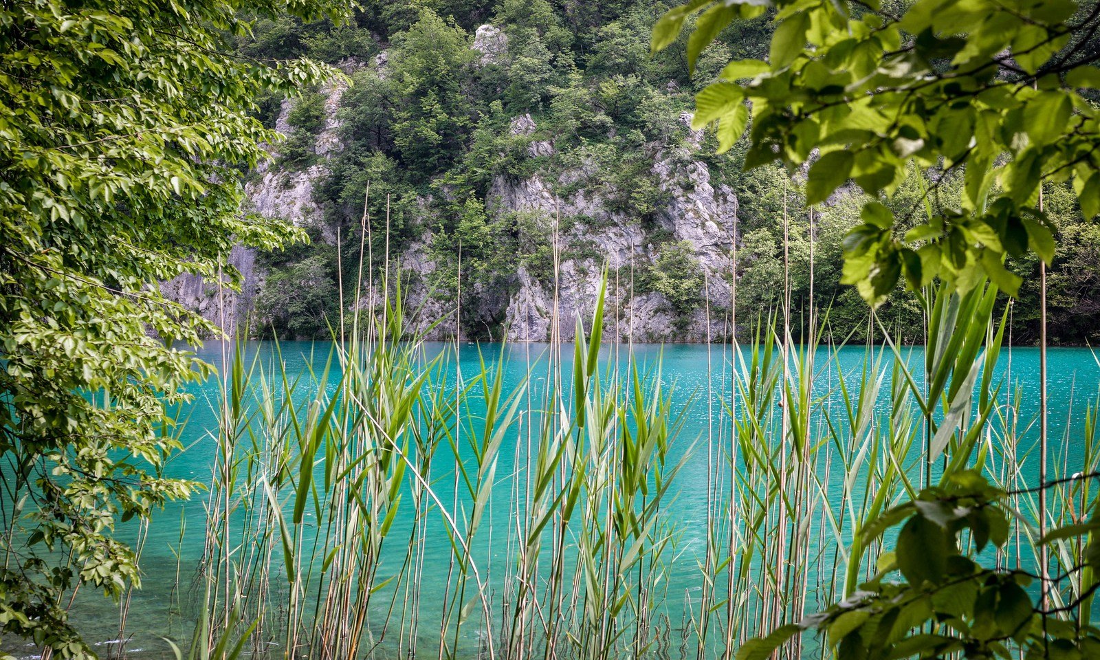 Sur les abords des lacs Sur les abords des lacs