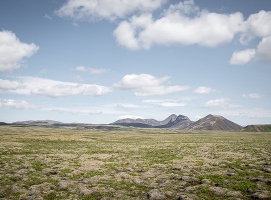 Paysage entre Þingvellir et Geysir