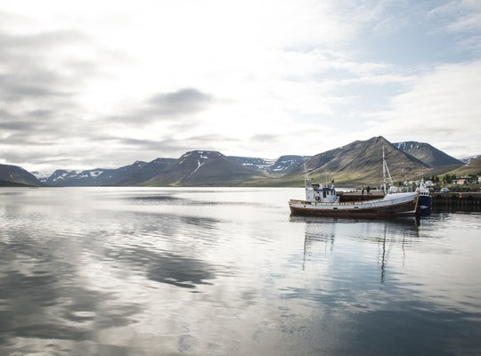 Port de Þingeyri