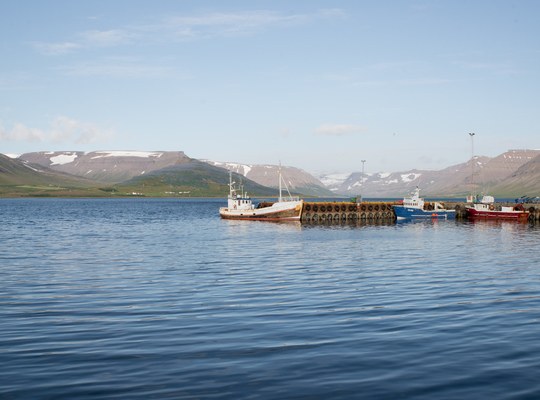 Bateaux au port de Þingeyri