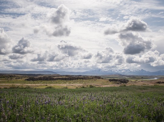 Paysage d'été en Islande 