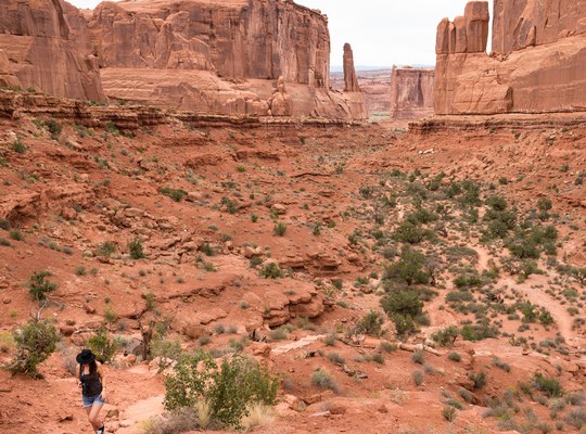 Park avenue trail 