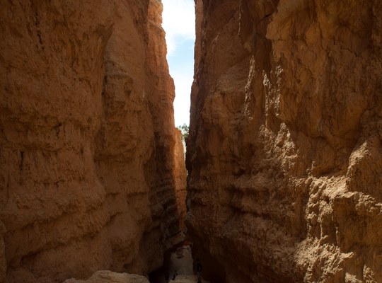 Au coeur du canyon 