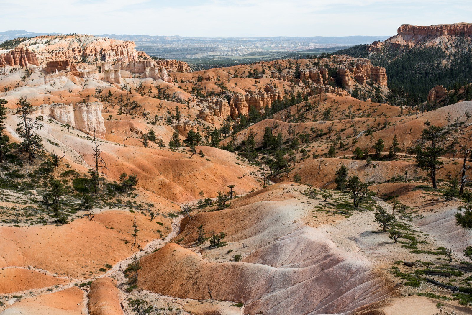 bryce canyon sunrise point