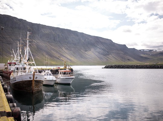 Port de pêche islandais 