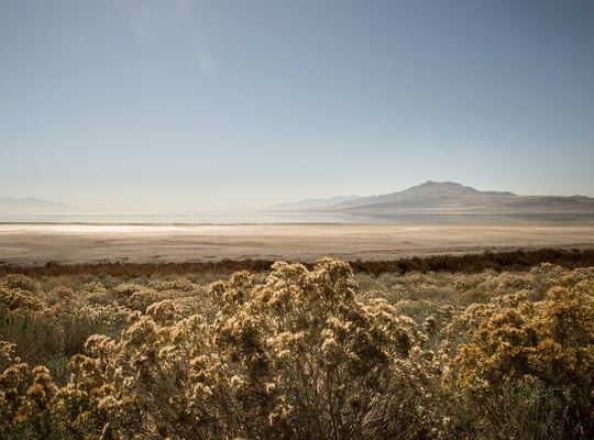 Paysage typique de Antelope Island