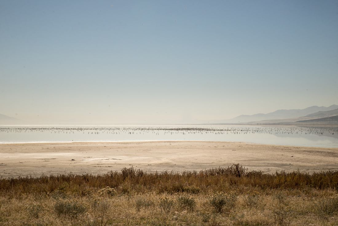 Sur les rives de la route d'accès 