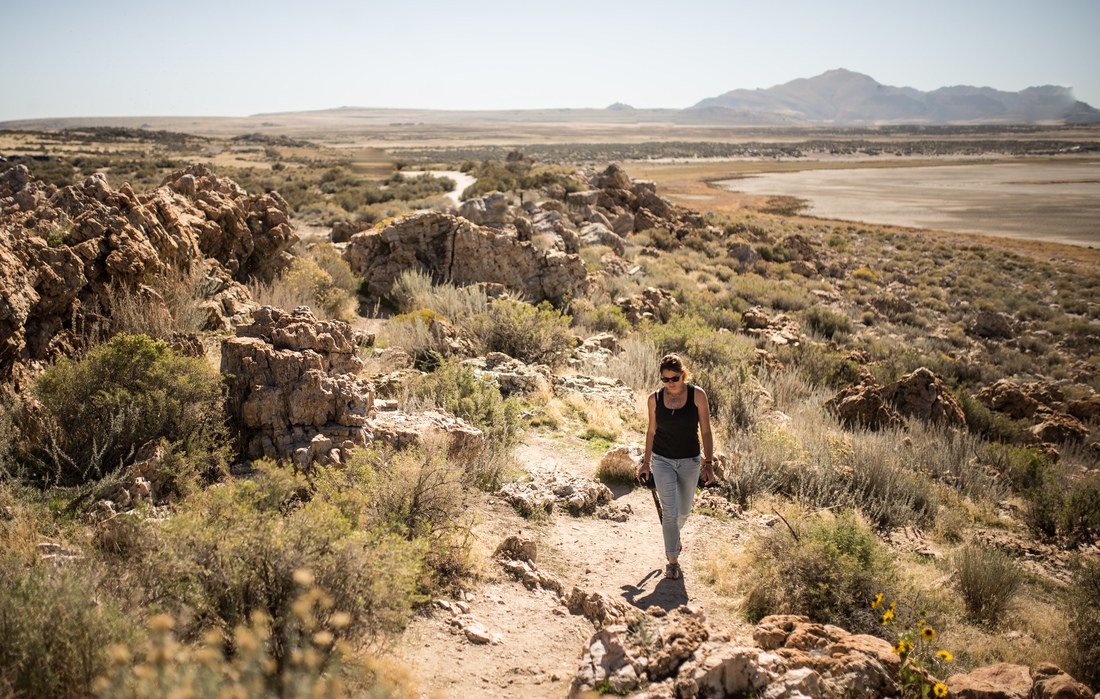 Se promener dans Antelope Island 