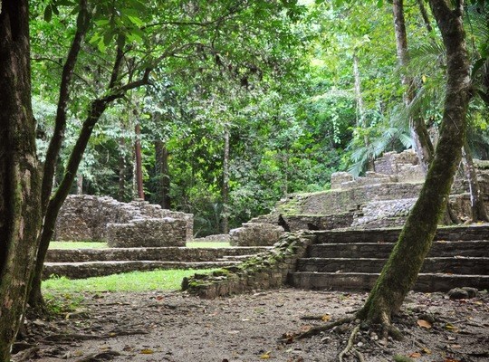 Vestiges de Palenque