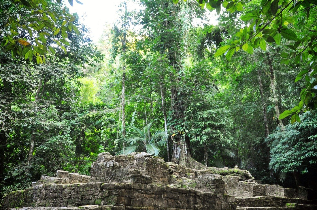 Ruines maya de Palenque