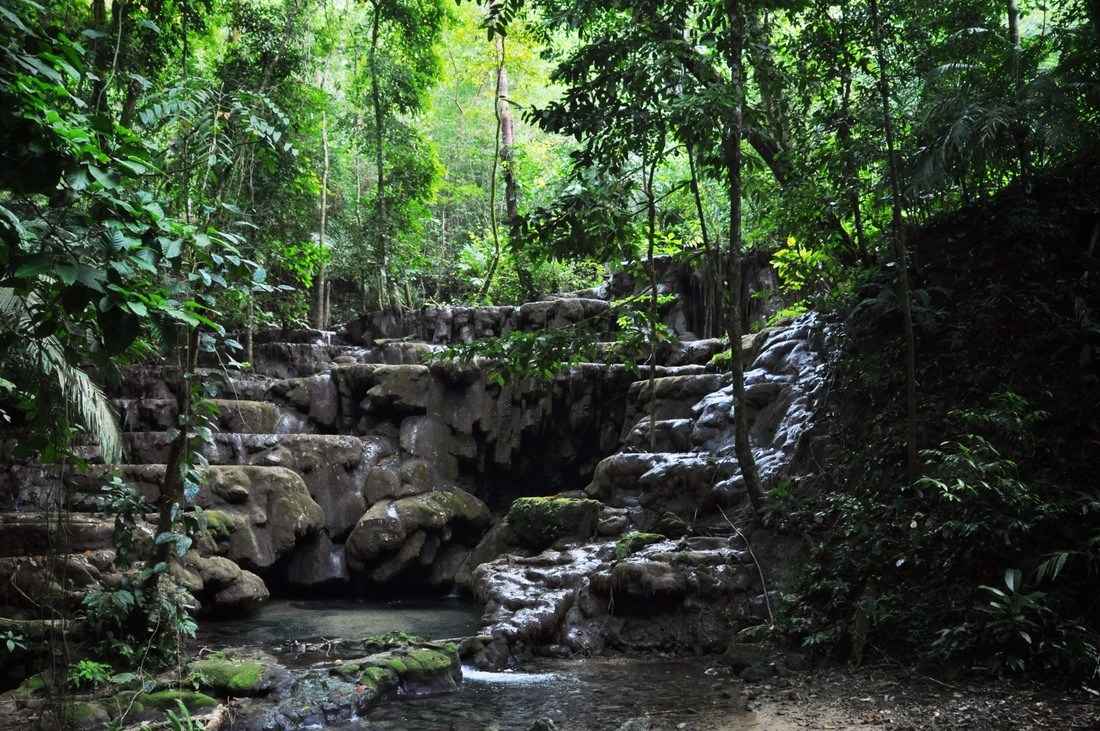 Jungle profonde de Palenque