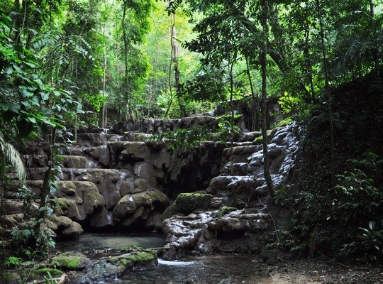 Jungle profonde de Palenque