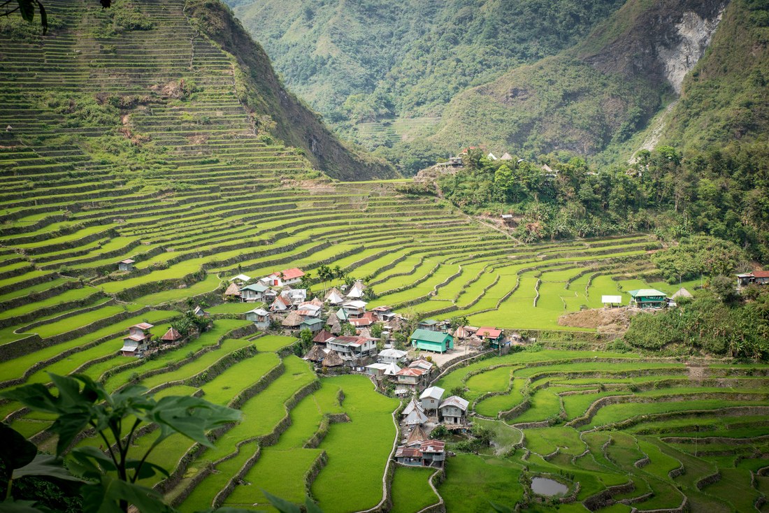 Au coeur des rizières, le village 