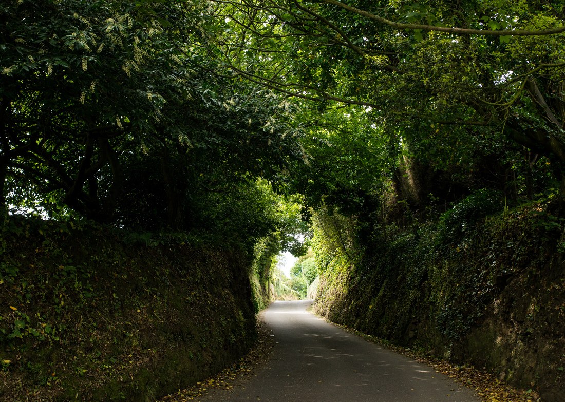 Tunnel de végétation typique de l'île de Jersey