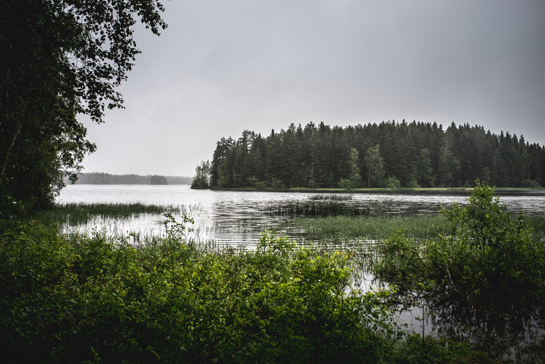 Lac et foret en Finlande 