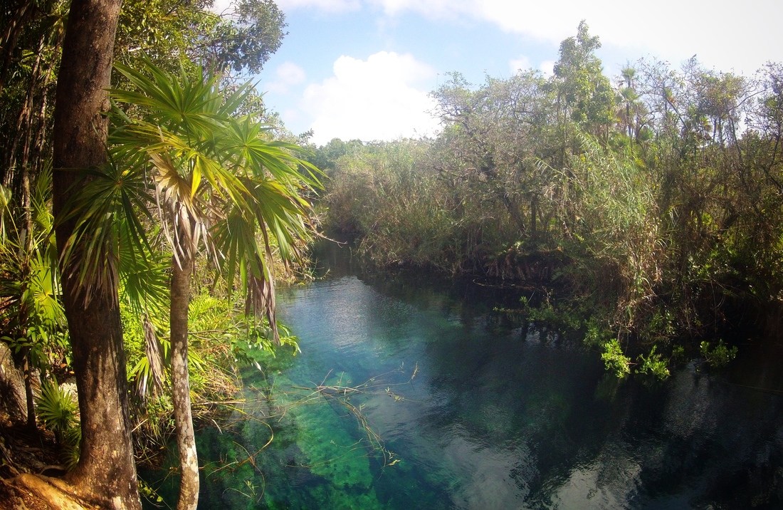 Cenote. Tulum