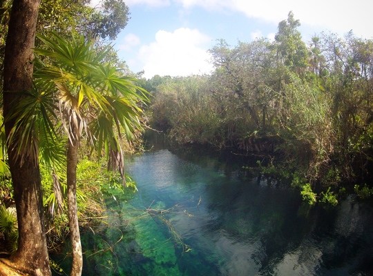 Cenote. Tulum