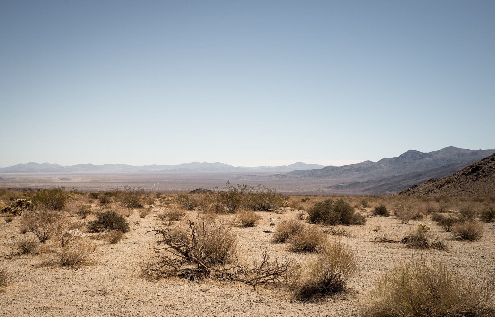 Paysages de Joshua Tree NP