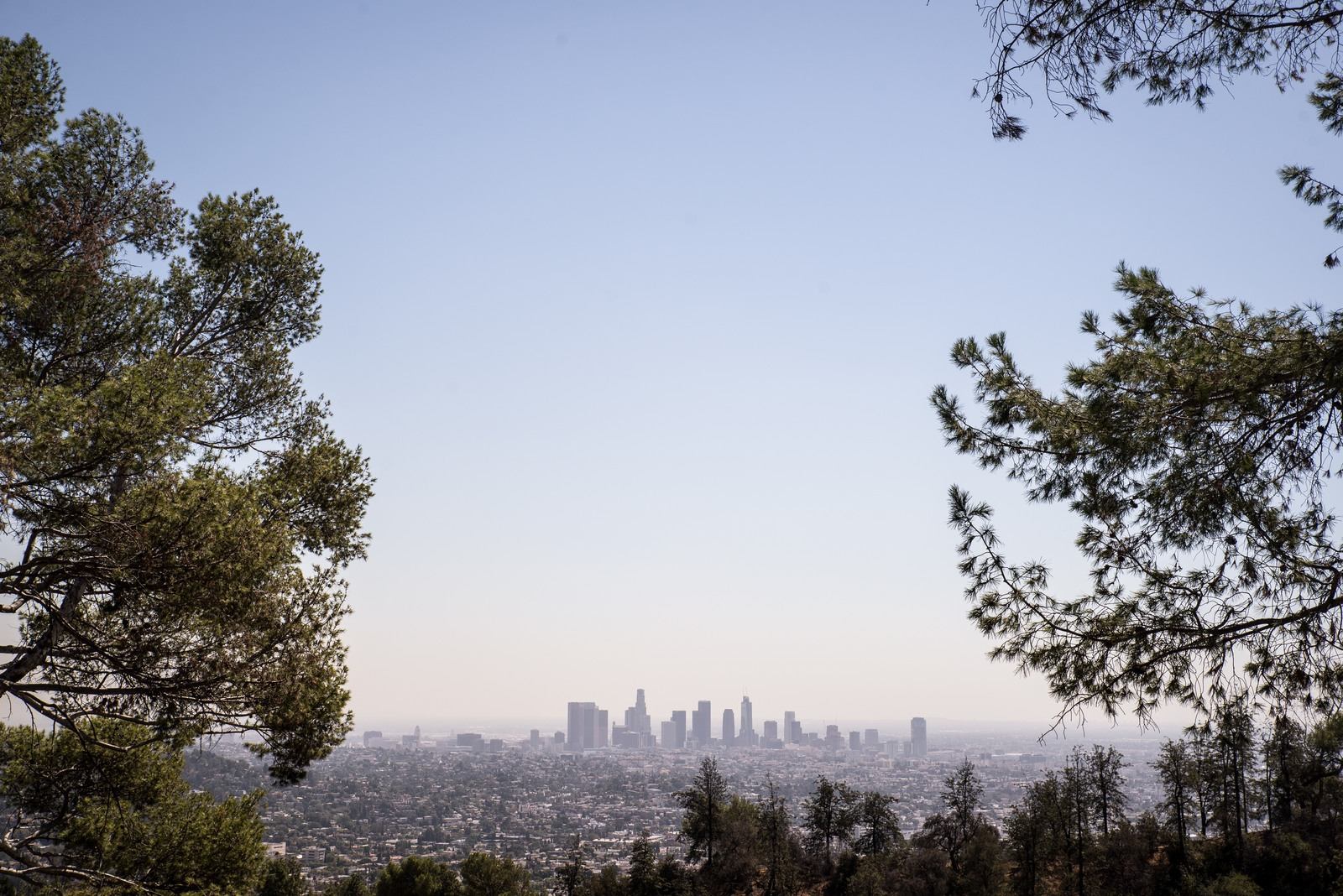 Vue sur LA depuis Griffith Observatory