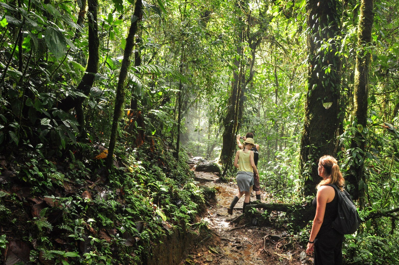 Avec nos potes, dans la jungle Avec nos potes, dans la jungle