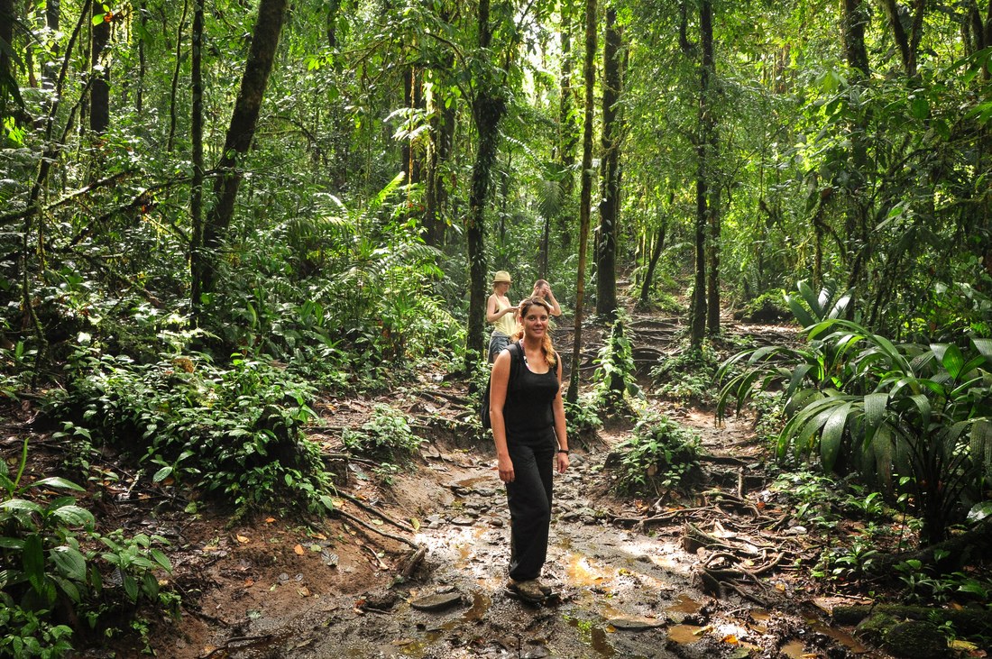 Manue au coeur de la jungle