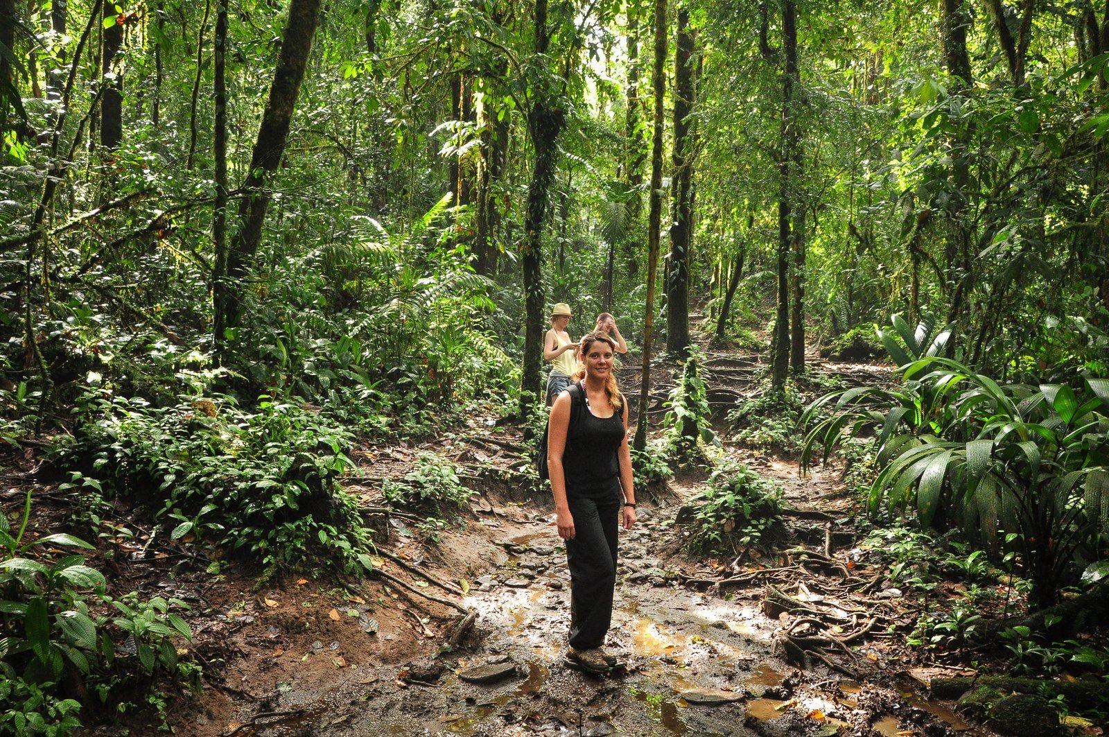 Manue au coeur de la jungle Manue au coeur de la jungle