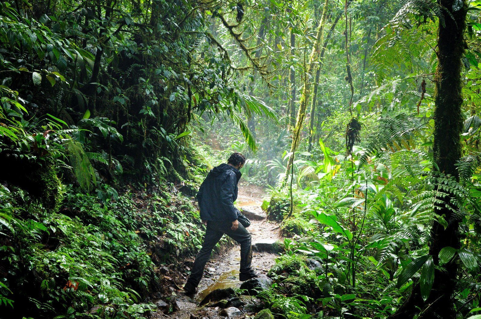 Seb dans la jungle Seb dans la jungle