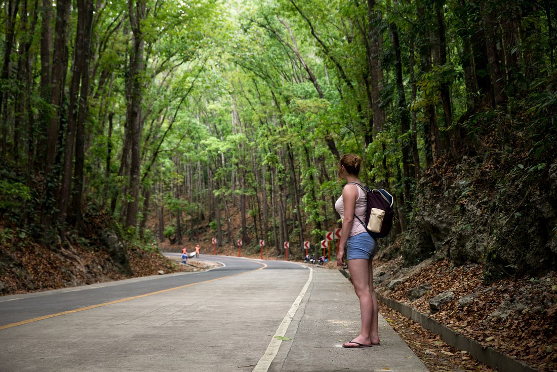 Tunnel d'arbres  à Bohol