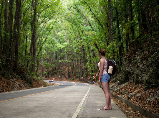 Tunnel d'arbres  à Bohol