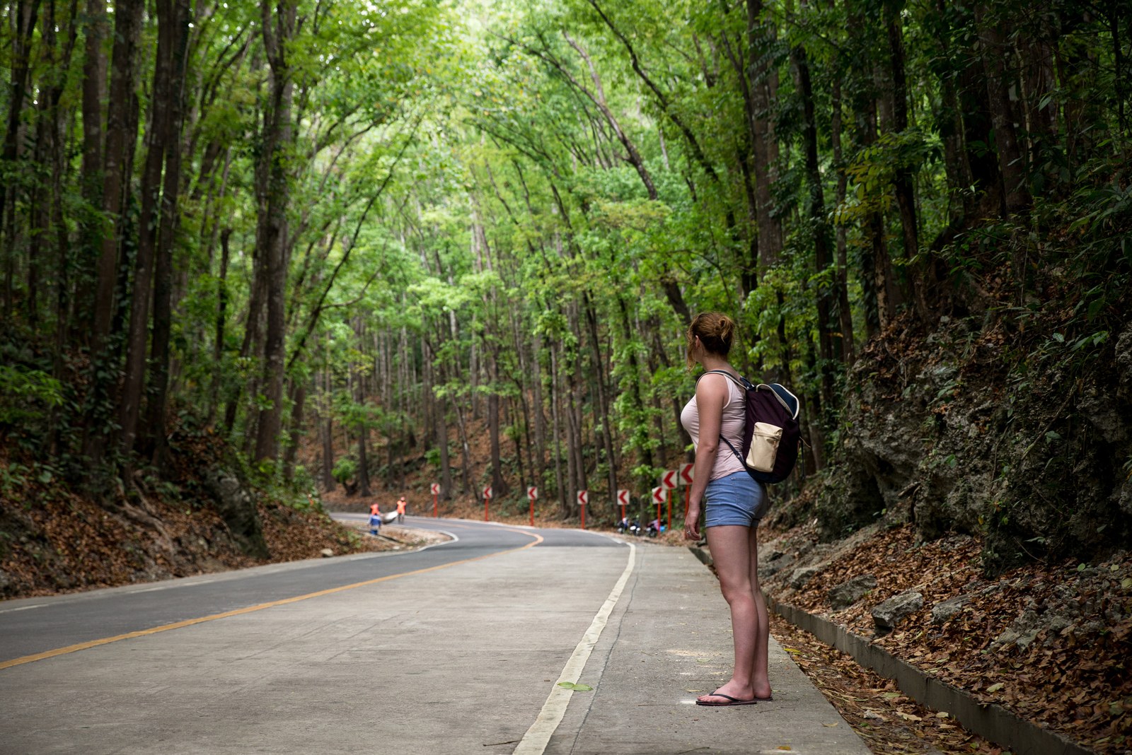 Tunnel d'arbres à Bohol Tunnel d'arbres à Bohol