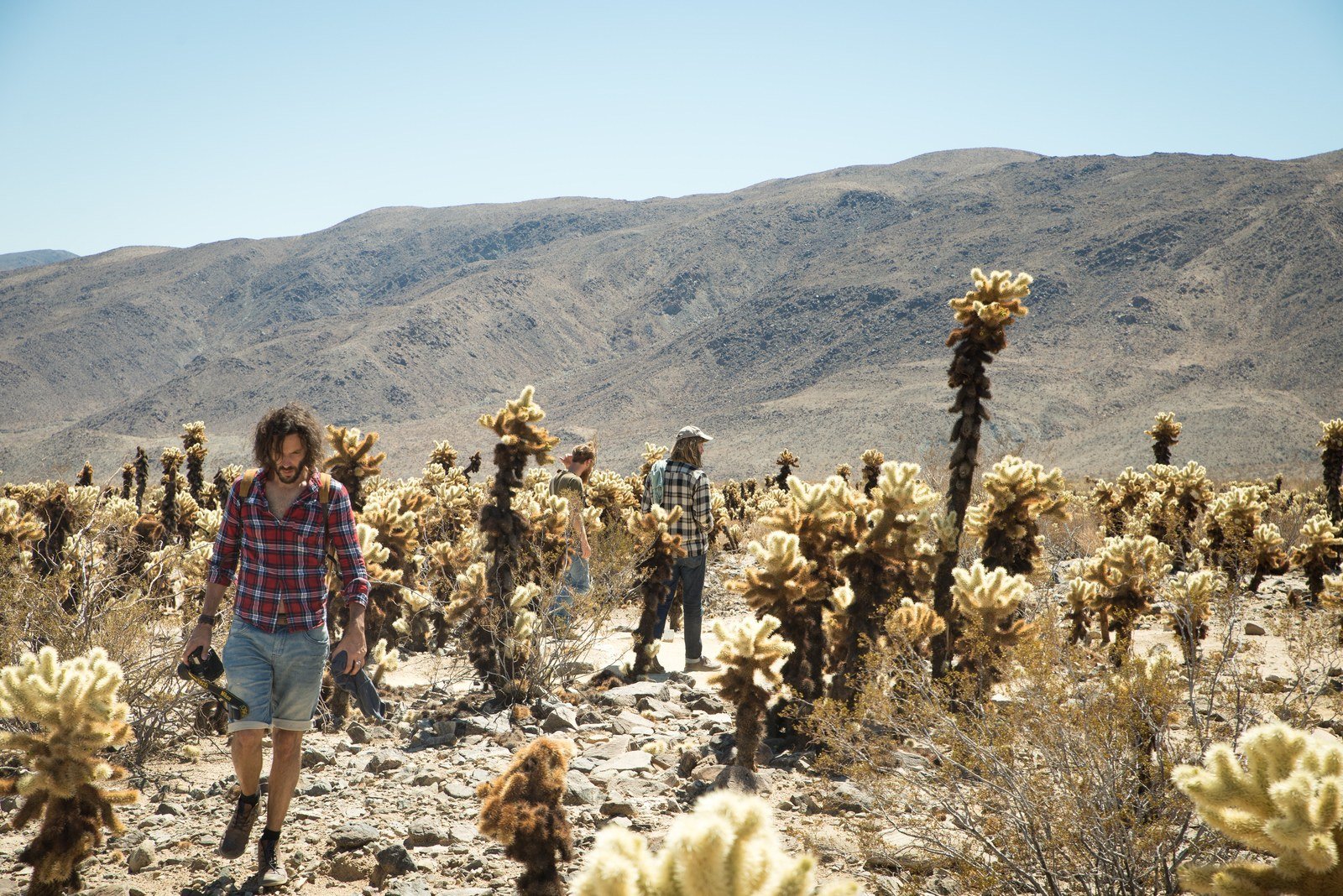 Seb au milieu des cactus Seb au milieu des cactus
