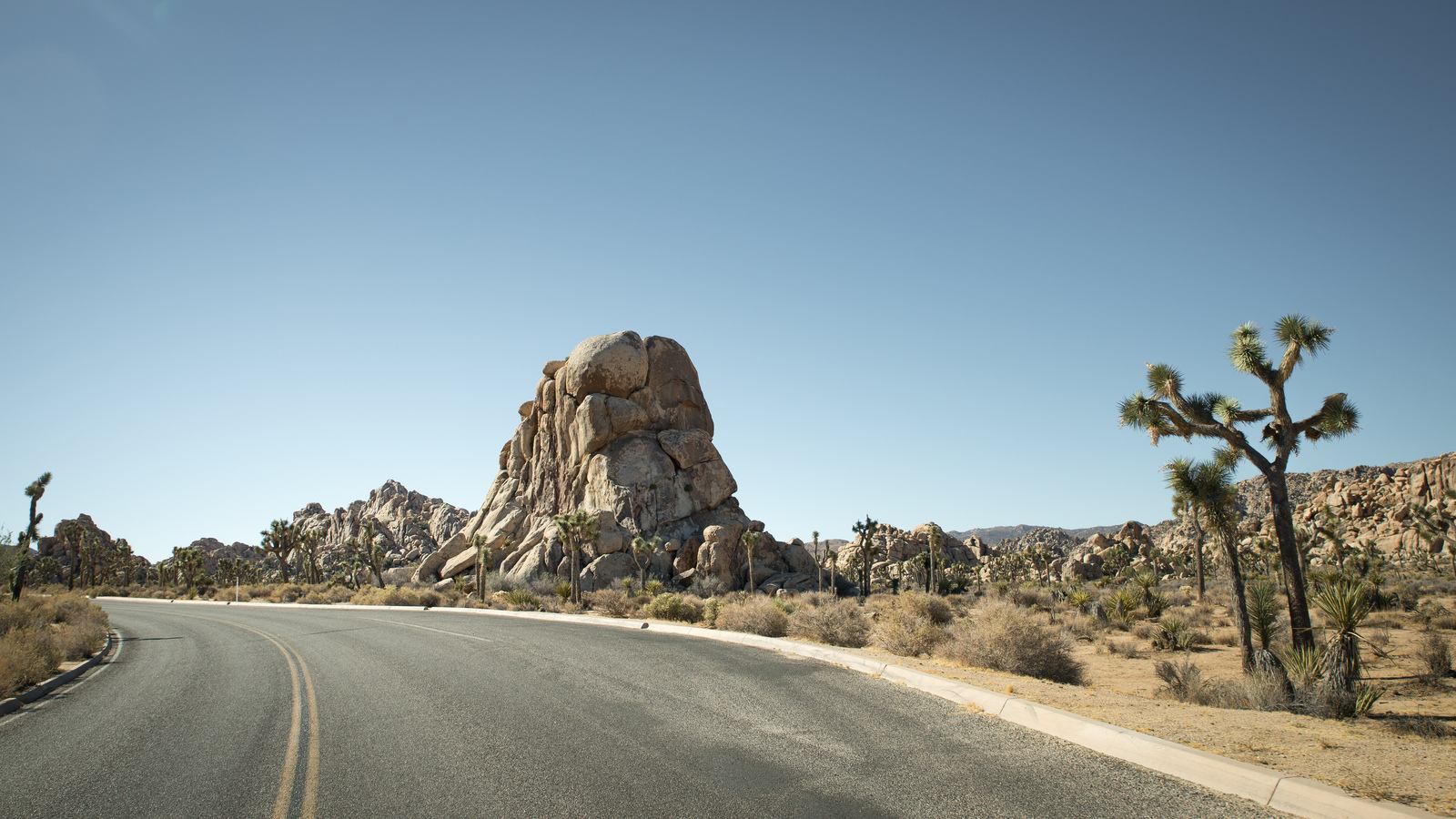 Rochers et cactus Rochers et cactus