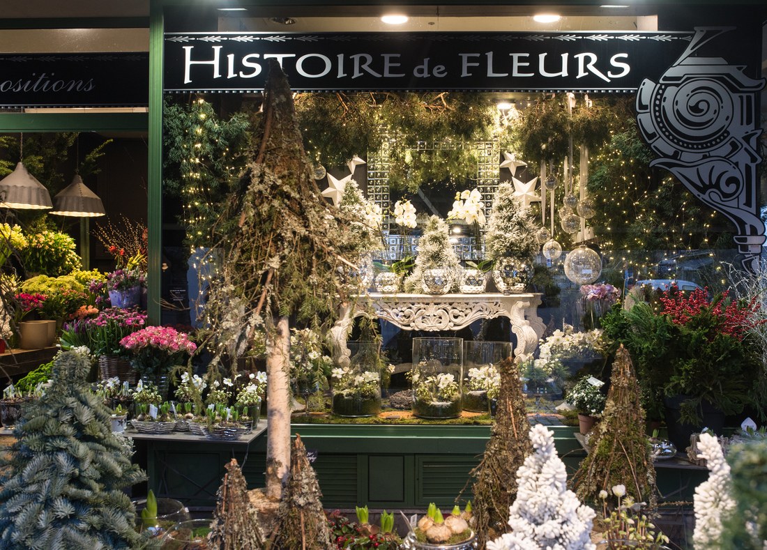 Vitrine de Histoire de Fleurs