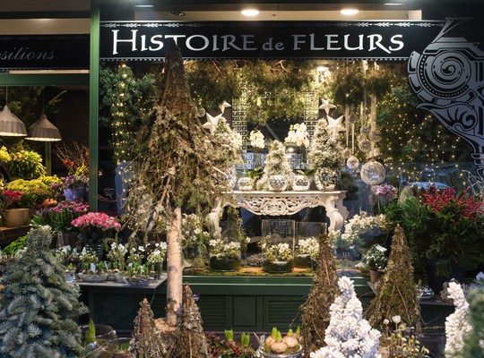 Vitrine de Histoire de Fleurs