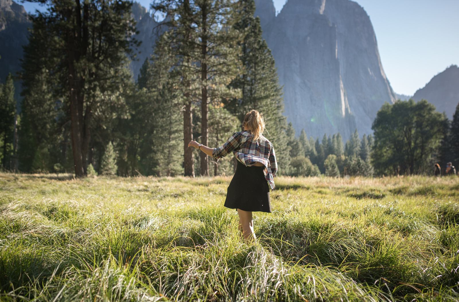 Champs et paysages typique de Yosemite