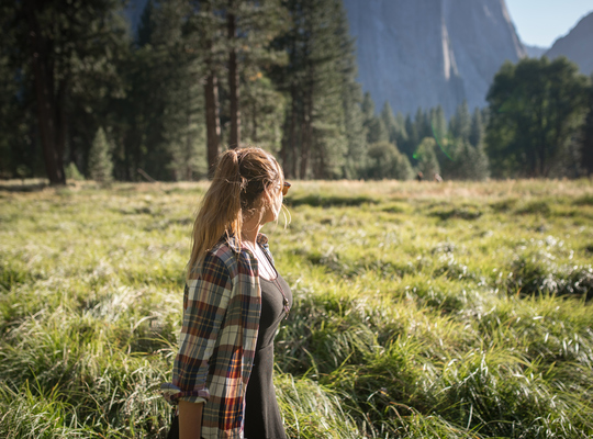 Paysages de prairie à Yosemite