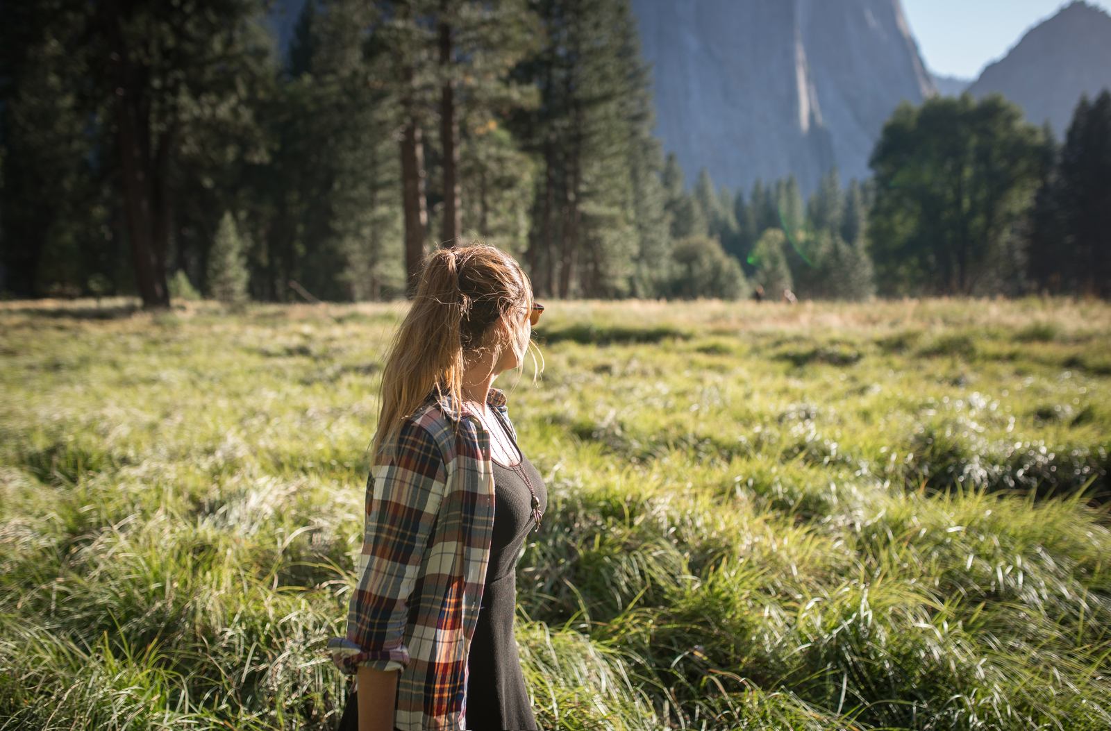 Paysages de prairie à Yosemite