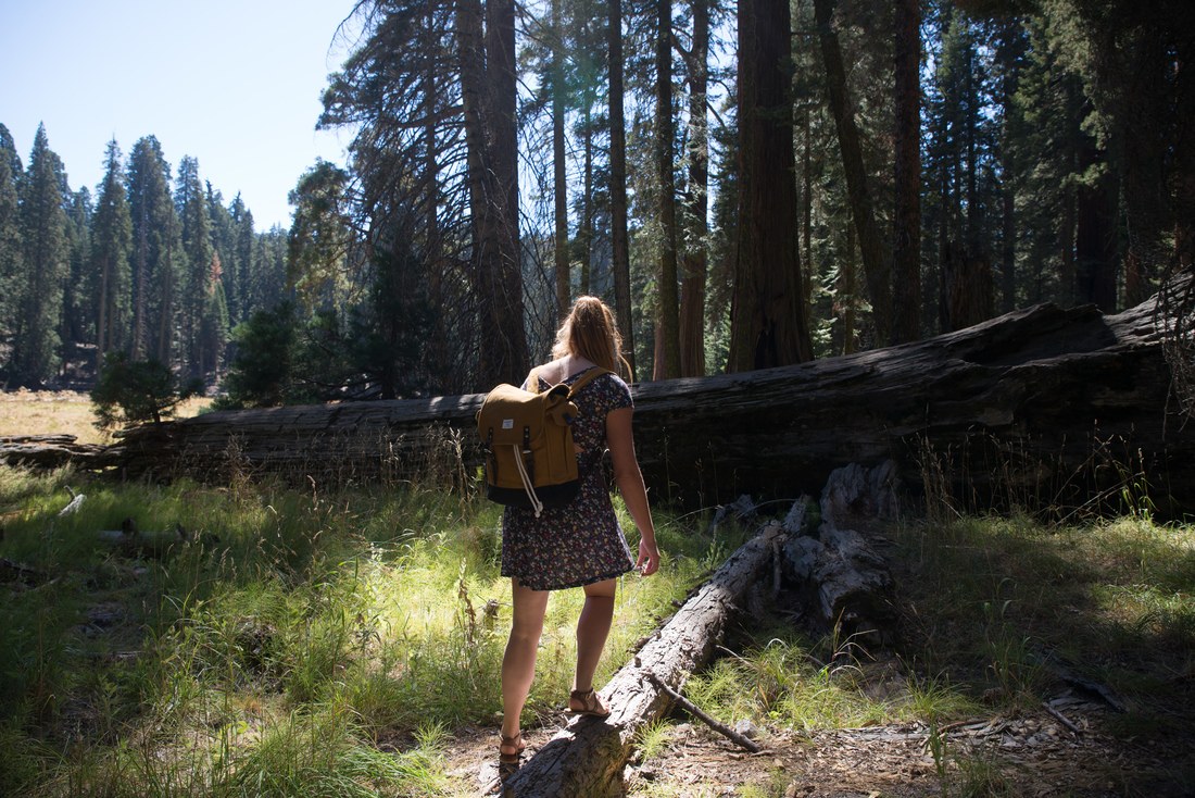 Manue sur un trail de Séquoia