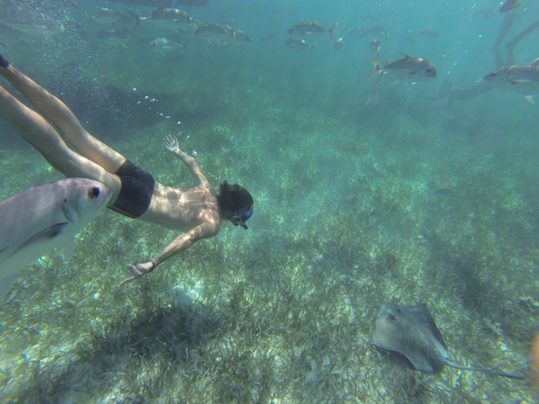 Snorkeling  Belize