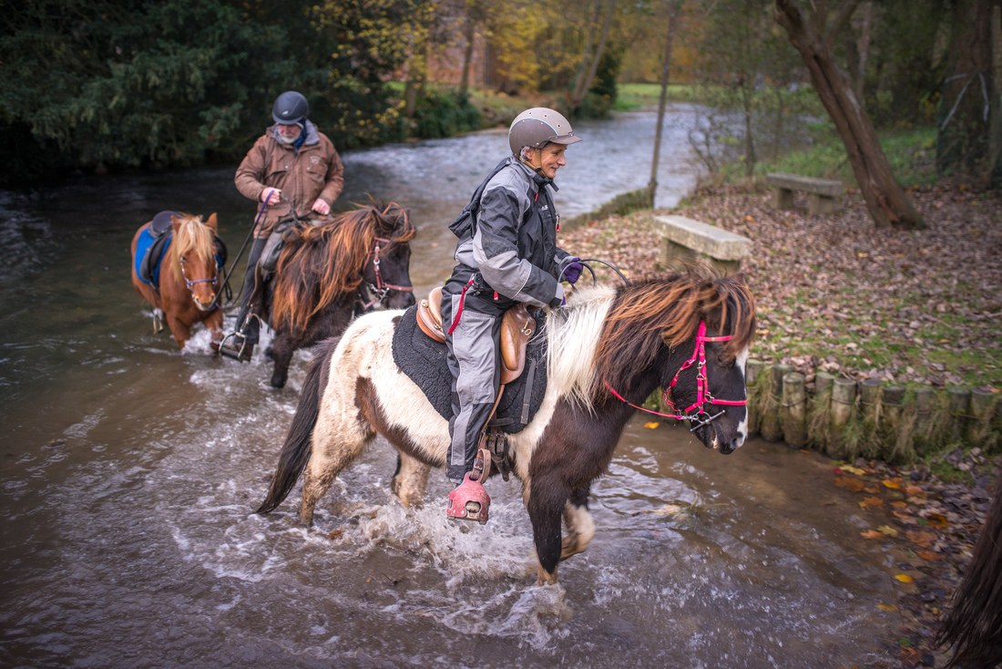 Balade à cheval, les pattes dans l'eau