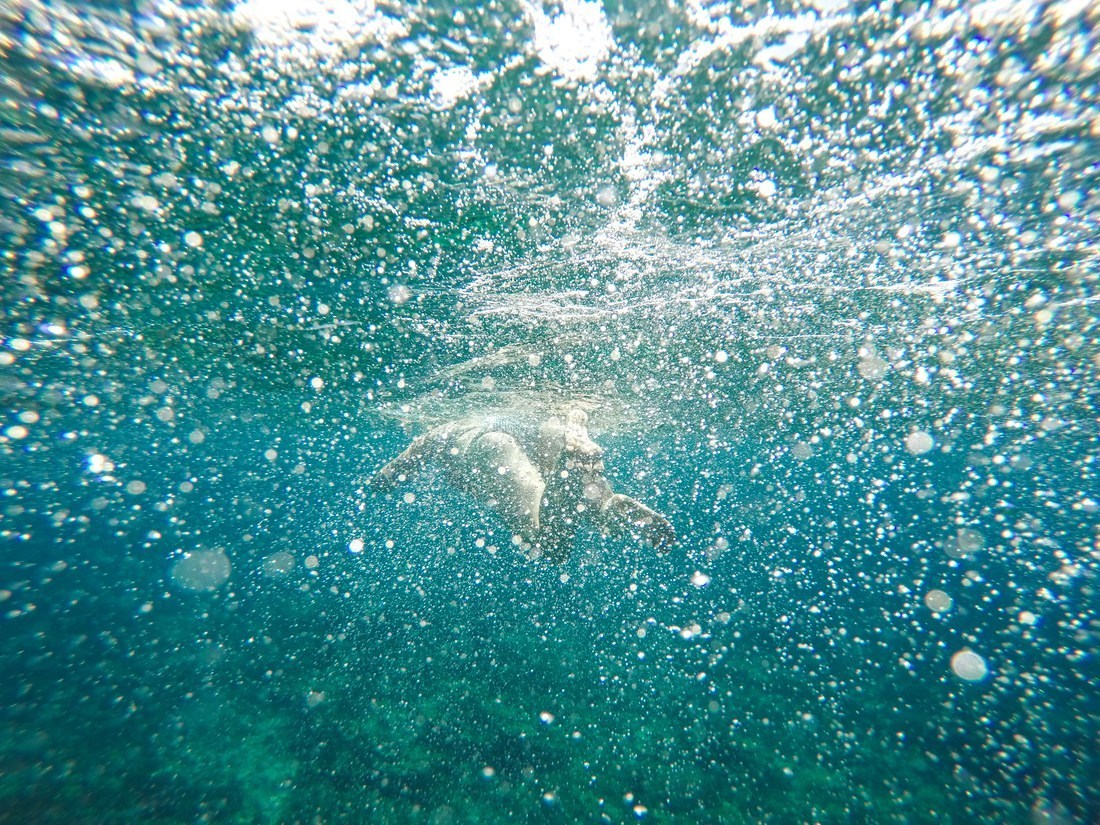 S'amuser sous l'eau aux Philippines 