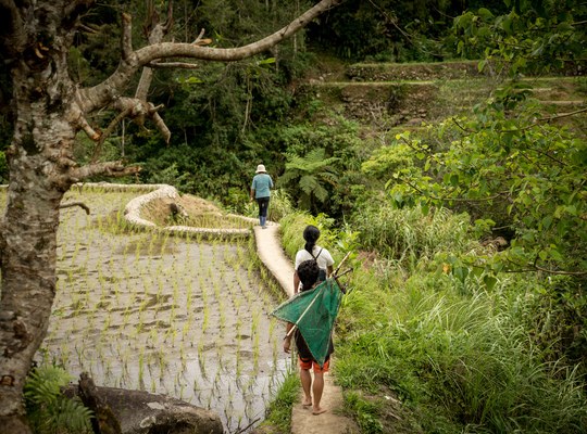 Marcher le long des rizières aux Philippines 