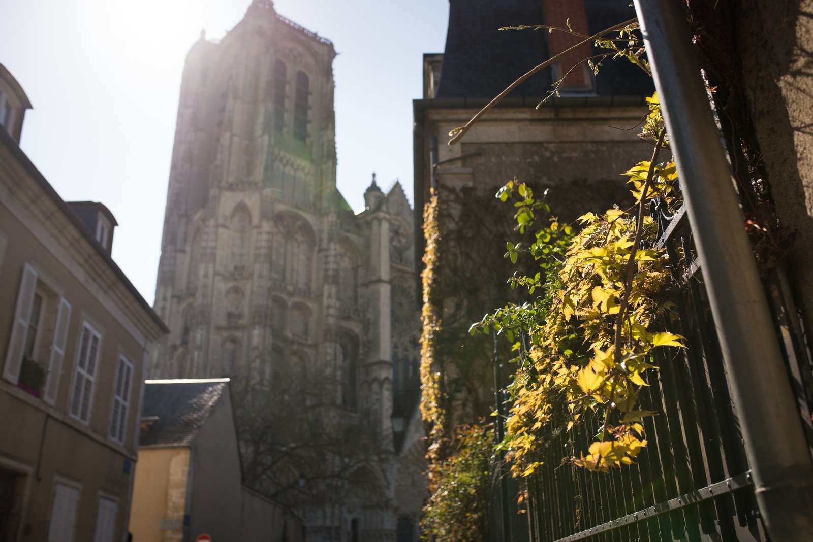 Vue sur la Cathédrale au printemps Vue sur la Cathédrale au printemps