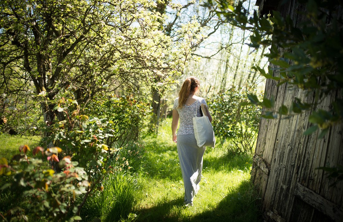 Se promener dans les marais de Bourges