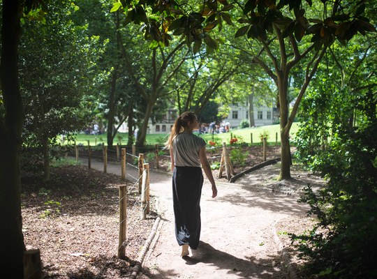 Se promener dans les jardins de l'Abbatiale Saint Ouen 