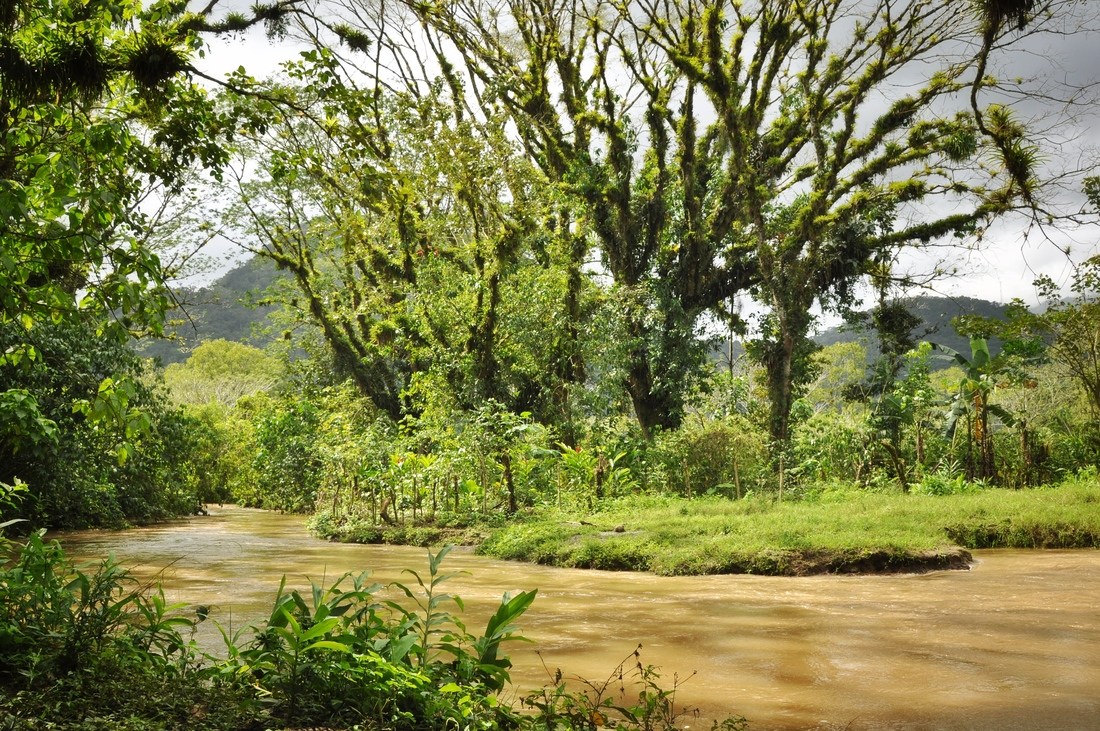 Rivière, Pena Blanca, Honduras